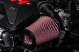 APR Carbon Fibre Intake Filter System