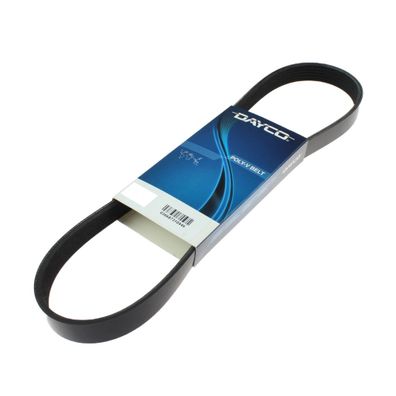 Dayco Poly V Belt