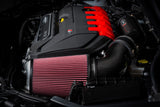 APR Carbon Fibre Intake Filter System