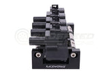 Raceworks Expandable Coil Pack Mounting Kit Suit LS Coil Packs - 4 Coil Kit