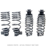 AST ALS Adjustable Lowering Spring System