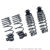 AST ALS Adjustable Lowering Spring System