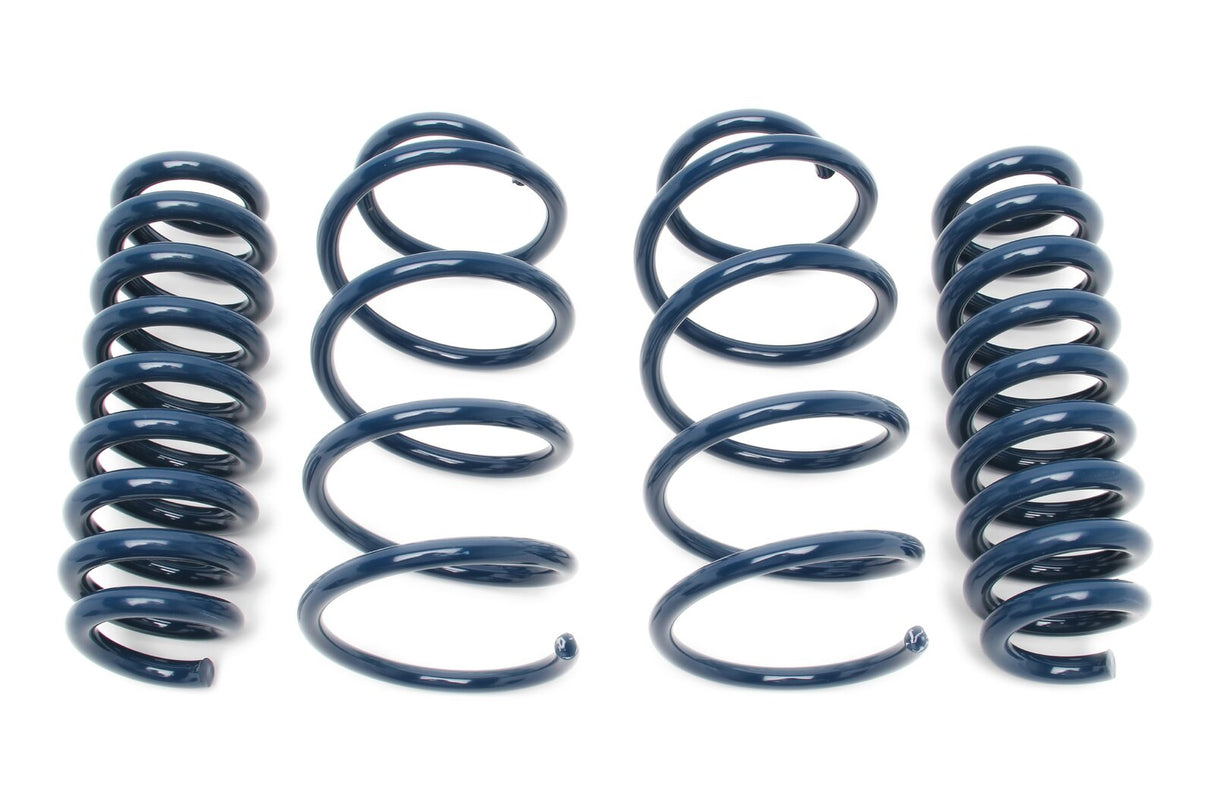 Dinan Performance Spring Set D100-0919 | Pro Speed Racing