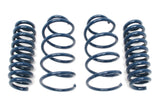 Dinan Performance Spring Set D100-0919 | Pro Speed Racing