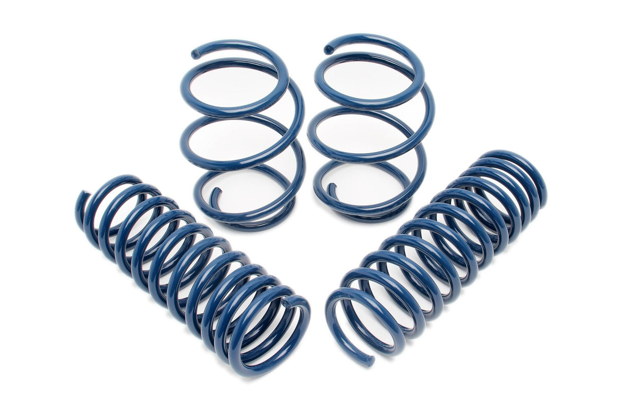 Dinan Performance Spring Set D100-0928 | Pro Speed Racing