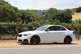 Dinan Performance Spring Set