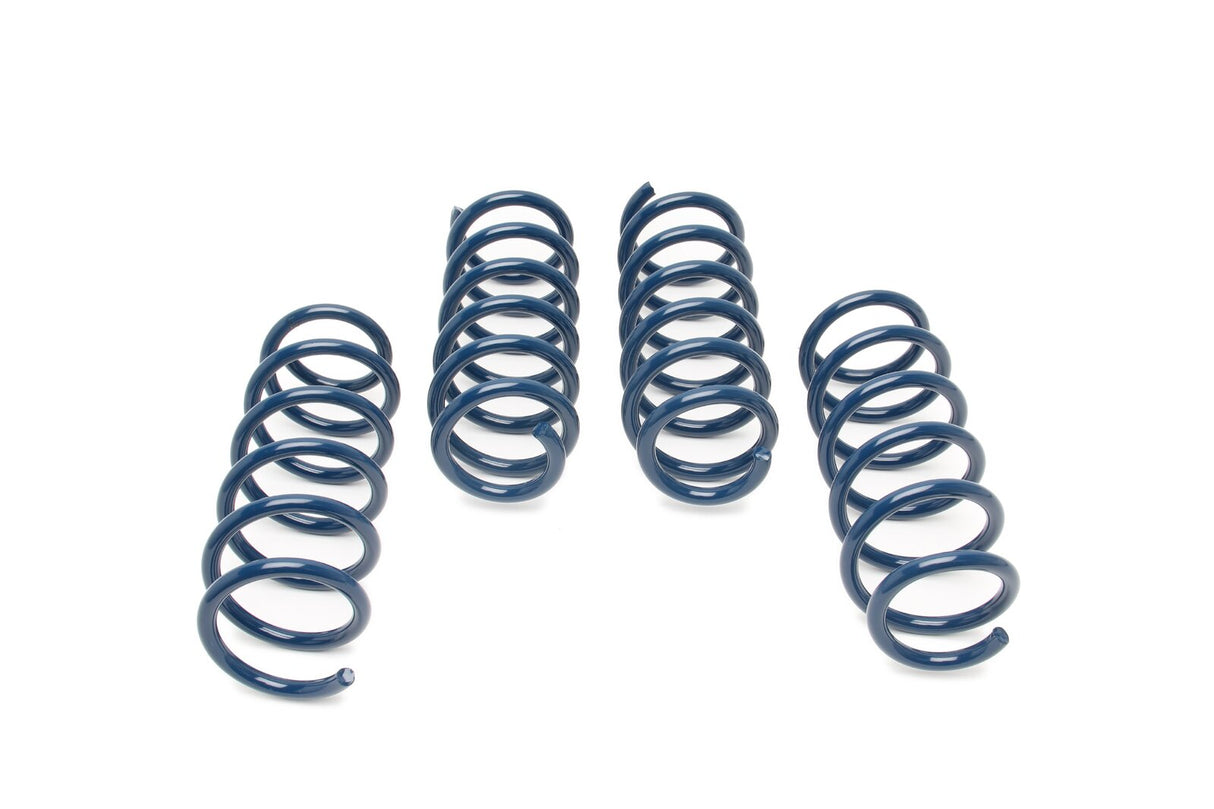 Dinan Performance Spring Set