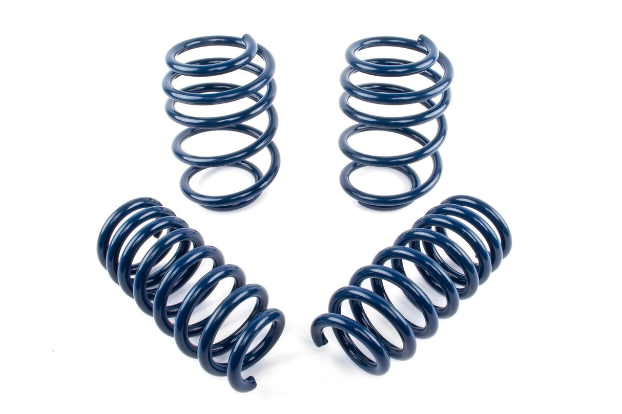 Dinan Performance Spring Set