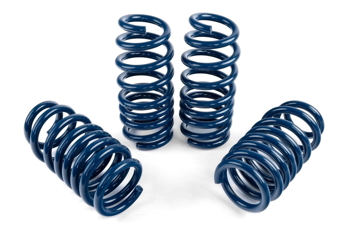 Dinan Performance Spring Set D100-0936 | Pro Speed Racing