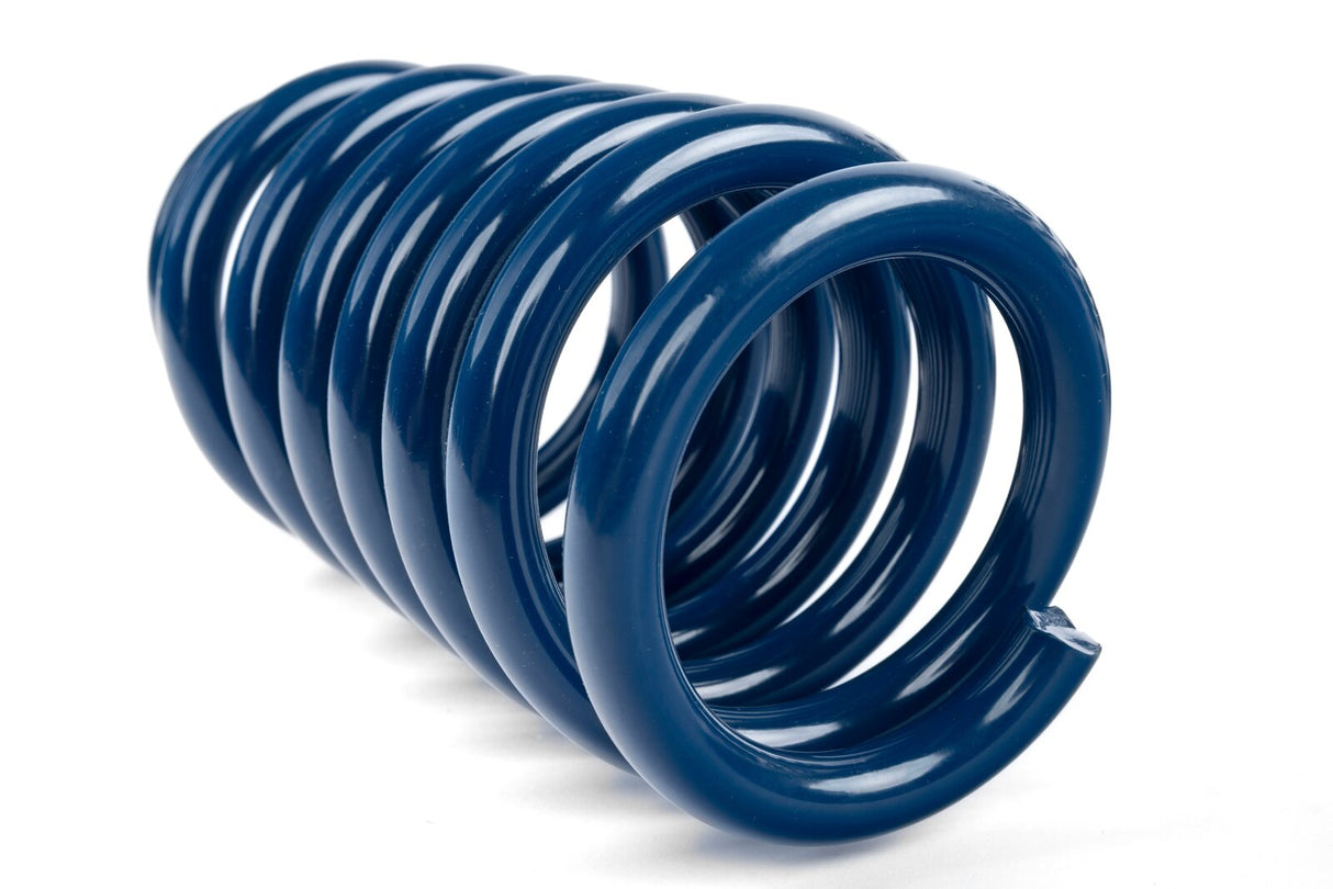 Dinan Performance Spring Set