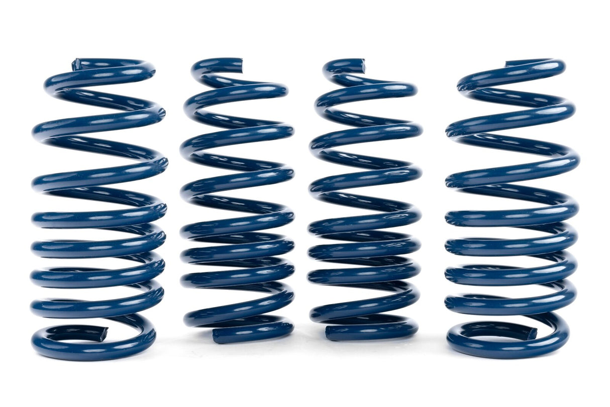 Dinan Performance Spring Set