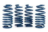 Dinan Performance Spring Set