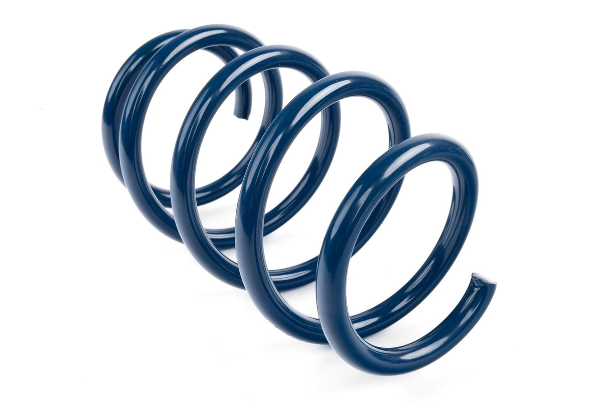 Dinan Performance Spring Set