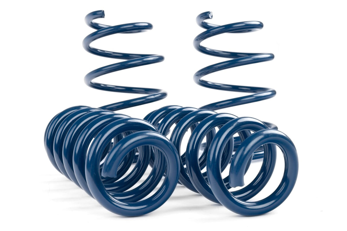 Dinan Performance Spring Set