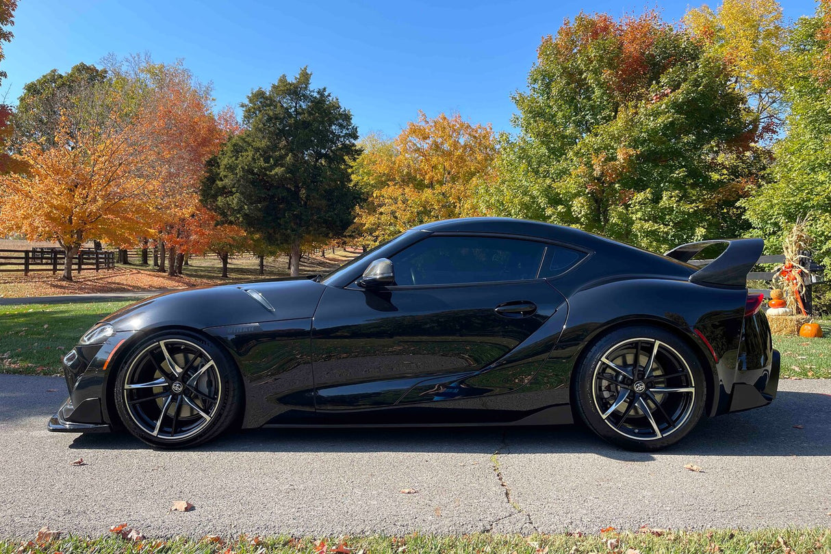 Dinan Performance Spring Set