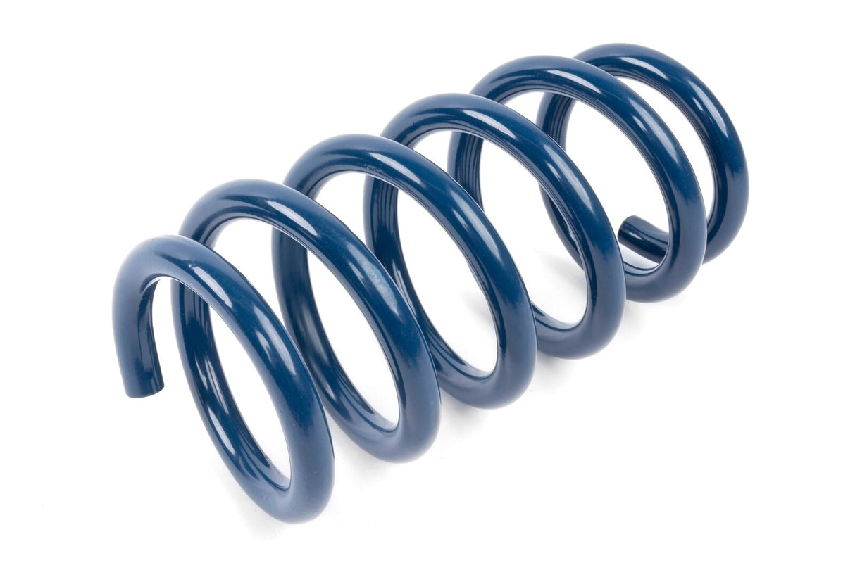 Dinan Performance Spring Set