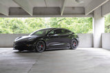 Dinan Performance Spring Set