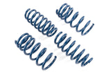 Dinan Performance Spring Set D100-0941 | Pro Speed Racing