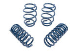 Dinan Performance Spring Set D100-0942 | Pro Speed Racing