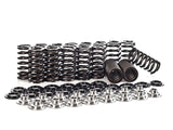 Integrated Engineering Ferrea Valve Spring & Retainer Kit VW/Audi 2.0 FSI/TFSI EA114 FER-FSI-SRKIT