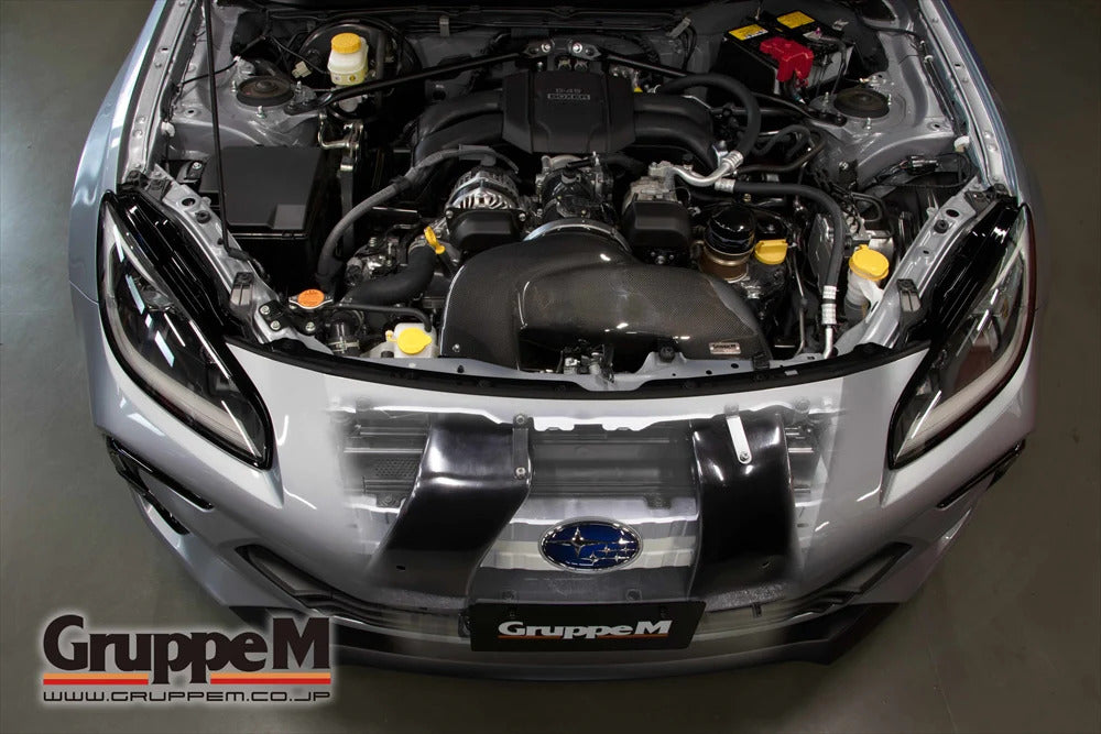 GruppeM Carbon Fibre Ram Air Intake System