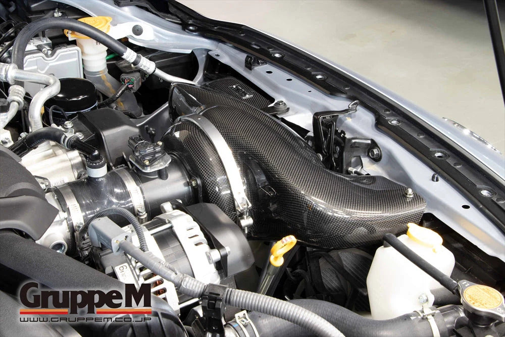 GruppeM Carbon Fibre Ram Air Intake System