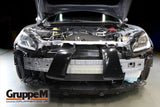 GruppeM Carbon Fibre Ram Air Intake System