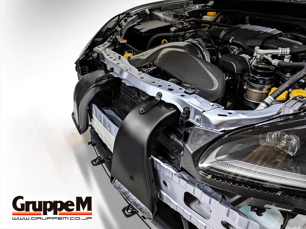 GruppeM Carbon Fibre Ram Air Intake System