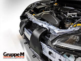 GruppeM Carbon Fibre Ram Air Intake System