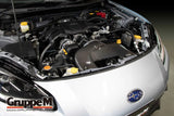 GruppeM Carbon Fibre Ram Air Intake System