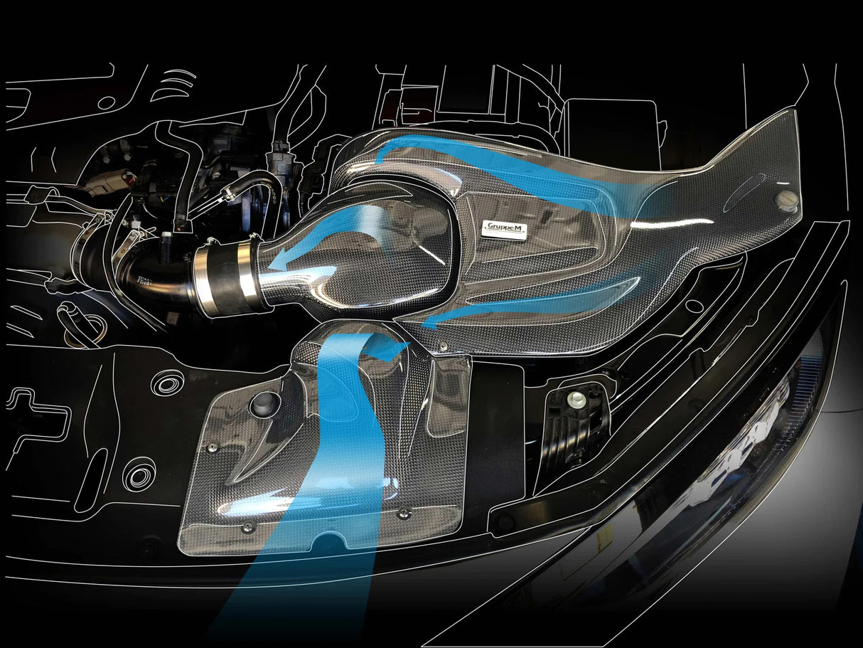 GruppeM Carbon Fibre Ram Air Intake System