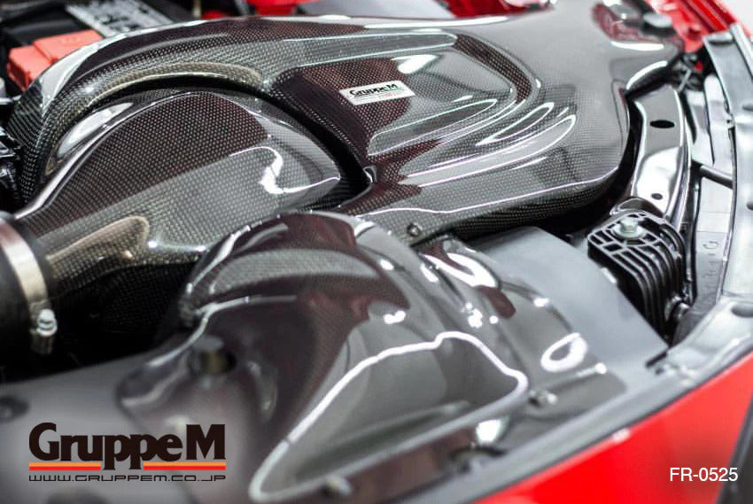 GruppeM Carbon Fibre Ram Air Intake System