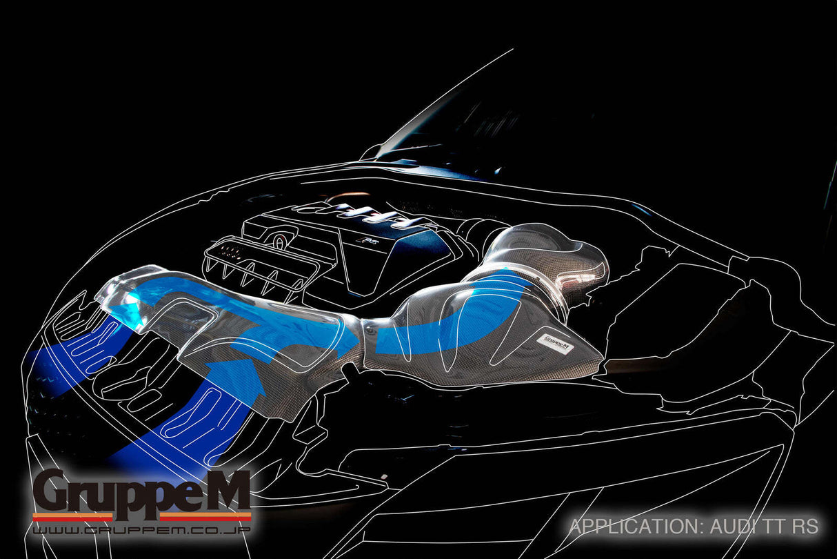 GruppeM Carbon Fibre Ram Air Intake System