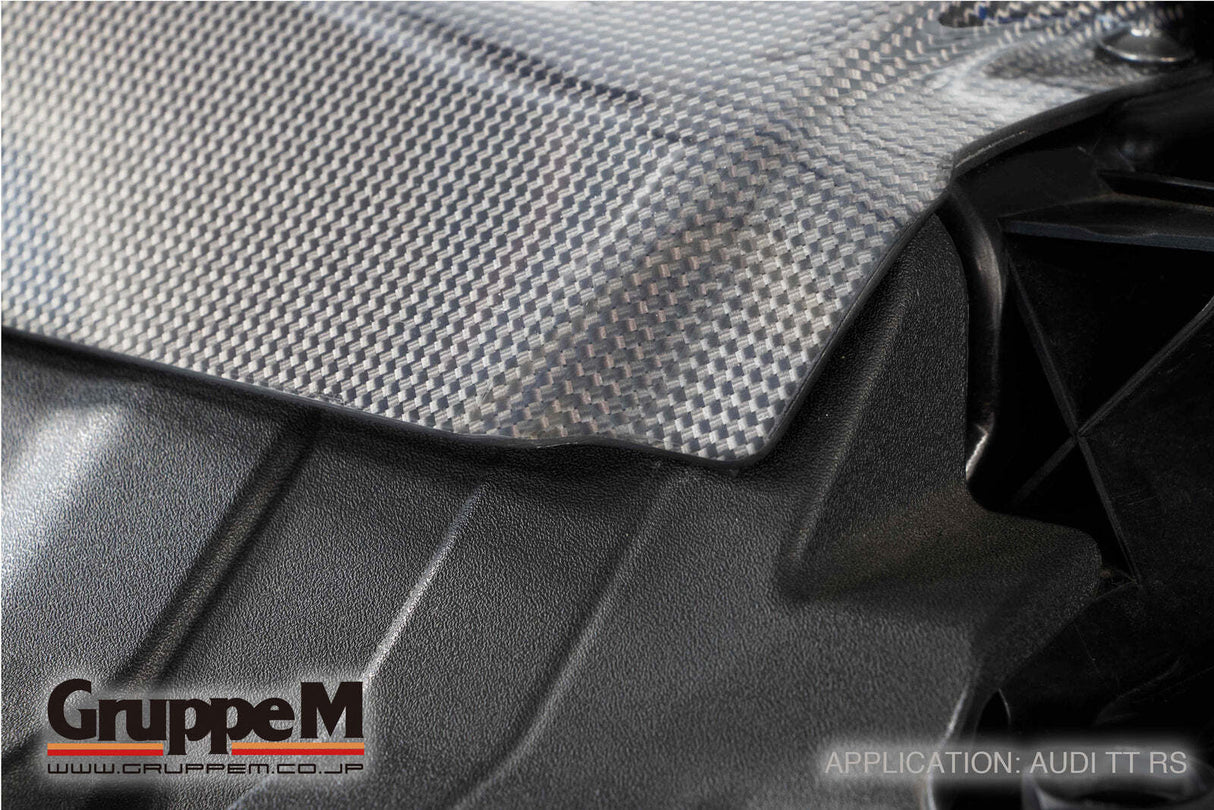 GruppeM Carbon Fibre Ram Air Intake System