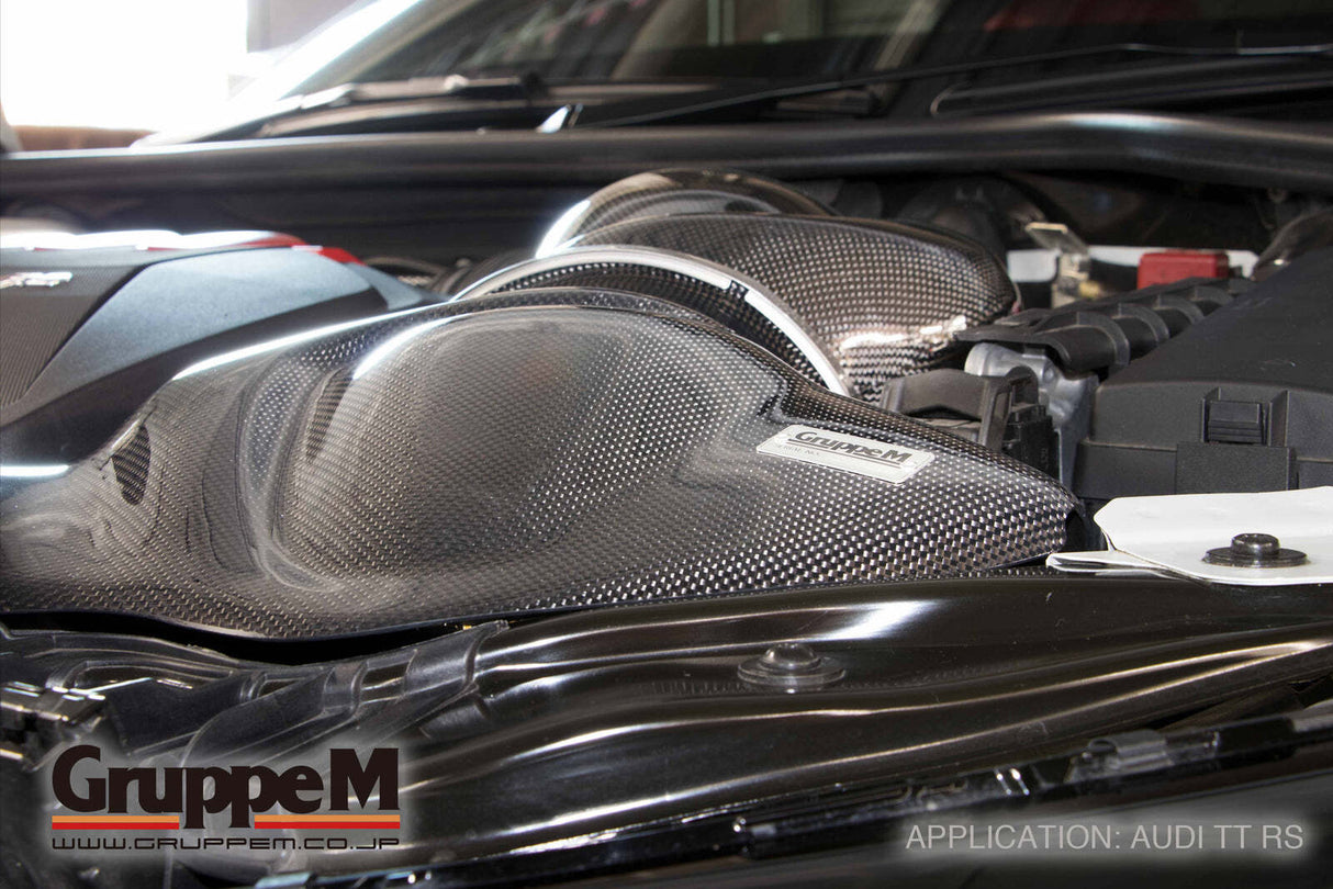 GruppeM Carbon Fibre Ram Air Intake System