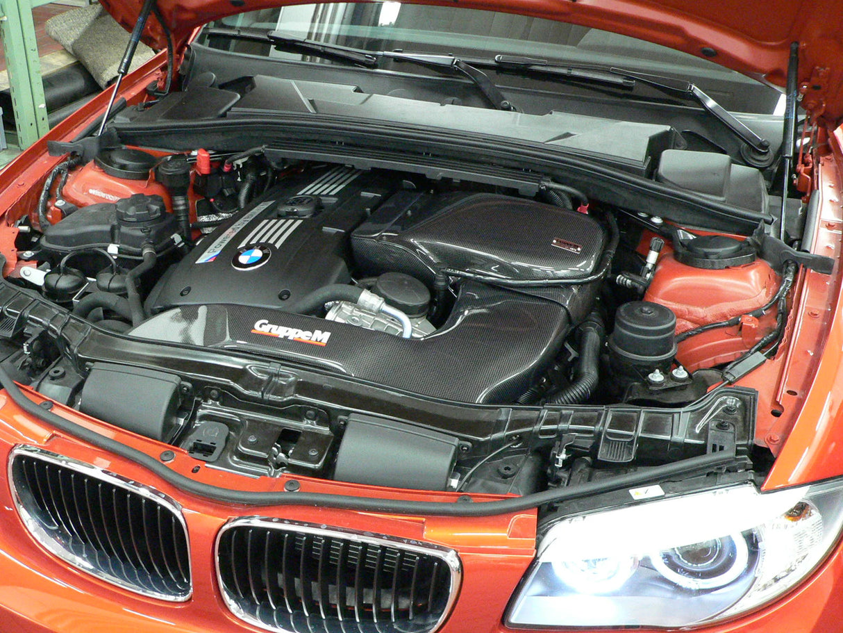 GruppeM Carbon Fibre Ram Air Intake System