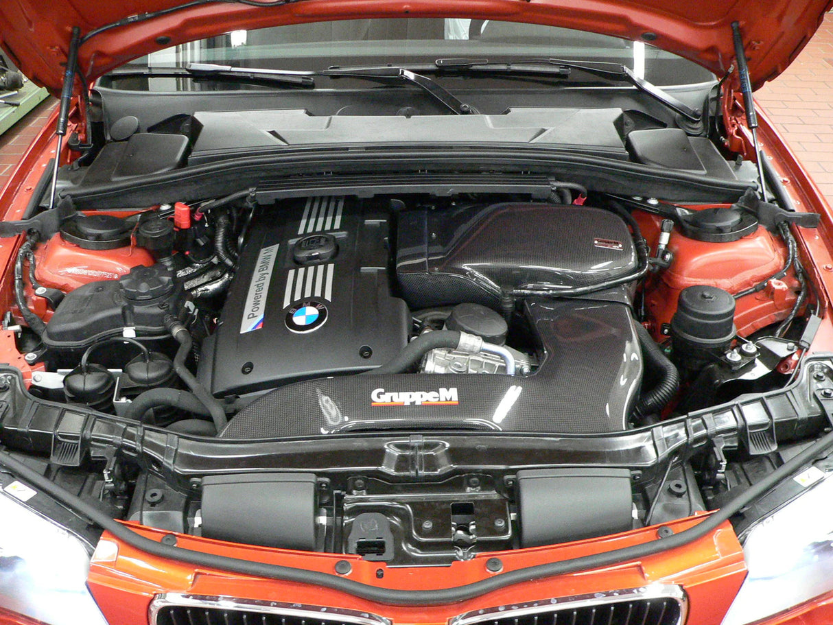 GruppeM Carbon Fibre Ram Air Intake System