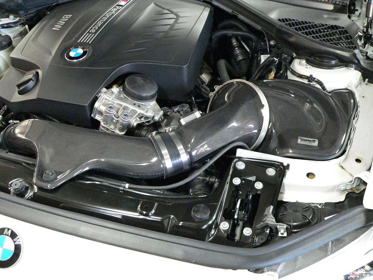 GruppeM Carbon Fibre Ram Air Intake System