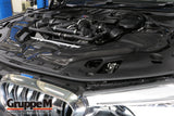 GruppeM Carbon Fibre Ram Air Intake System