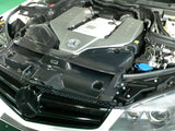 GruppeM Carbon Fibre Ram Air Intake System