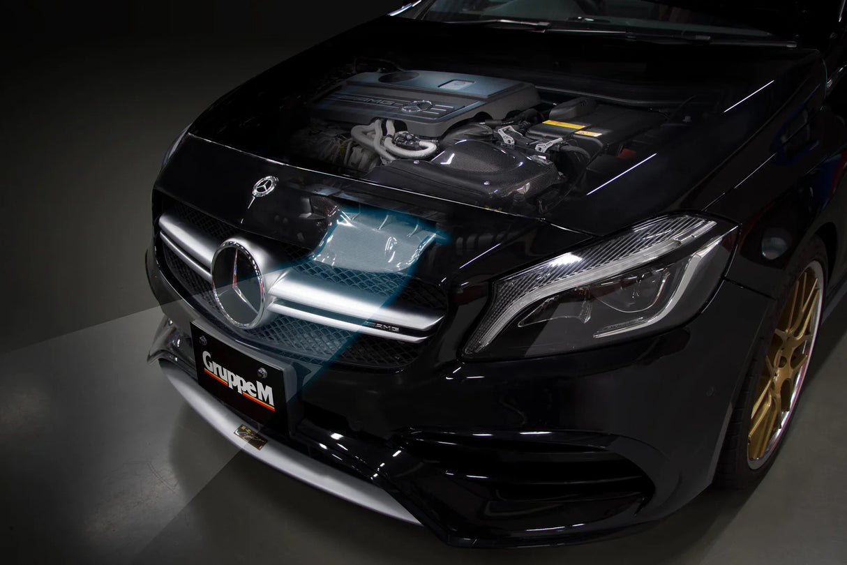 GruppeM Carbon Fibre Ram Air Intake System
