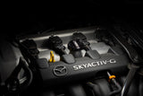 Verus Engineering Full Car Cap Kit - RLA Oil Cap