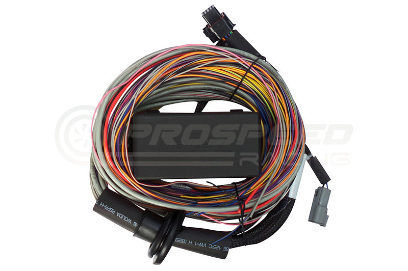 Haltech Elite 750 Premium Universal Wire-In Harness Only - 2.5m HT-140604 | Pro Speed Racing