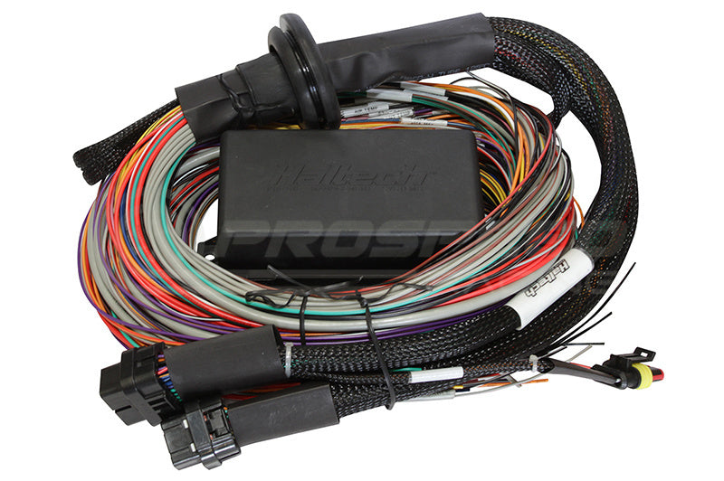 Haltech Elite 1500 Premium Universal Wire-In Harness Only - 2.5m HT-140904 | Pro Speed Racing
