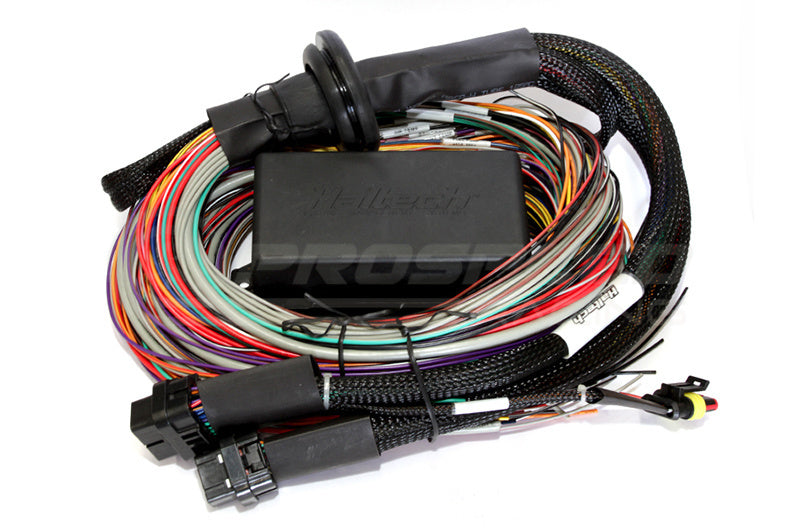 Haltech Elite 2500/2500T Premium Universal Wire-In Harness Only - 2.5m HT-141304 | Pro Speed Racing