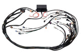 Haltech Elite 2000/2500 Terminated Harness GM LS1 & LS6 (Non-DBW) HT-141360
