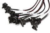 Haltech Elite 2000/2500 Terminated Harness