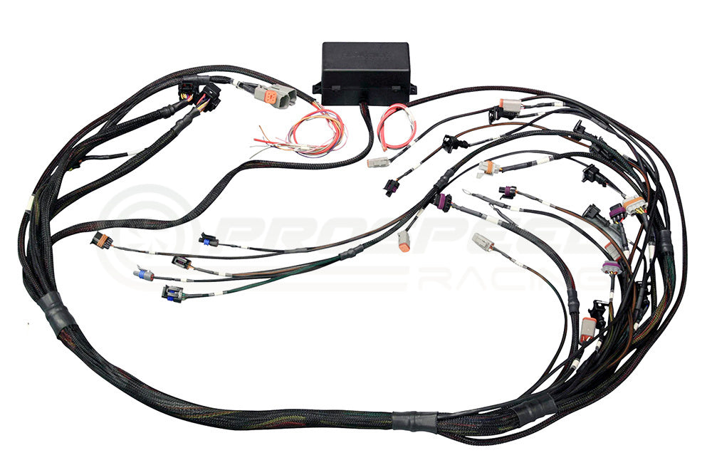 Haltech Plug 'N' Play Terminated Harness Only Suit Elite 2500 - GM Gen IV LSX, Bosch EV1 Injectors