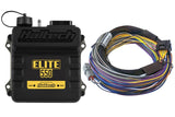 Haltech Elite 550 + Basic Universal Wire-in Harness Kit HT-150402