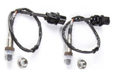 Haltech WB2 Dual Channel CAN O2 Wideband Controller Kit